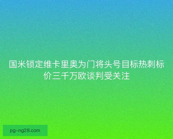 国米锁定维卡里奥为门将头号目标热刺标价三千万欧谈判受关注